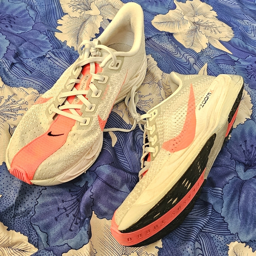 EUC | Nike Pegasus Turbo